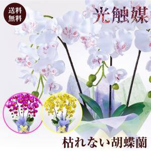 胡蝶蘭 造花 3本立て ピンク ホワイト イエ...の詳細画像1