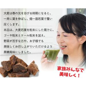 訳あり 沖縄 琉球 黒糖 青汁 3gx60p ...の詳細画像1