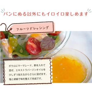 お試し 業務用 低カロリー ジャム 20本 4...の詳細画像2