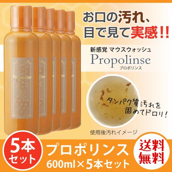 プロポリンス マウスウォッシュ 600ml×5本セット （送料無料 ※北海道・沖縄は除く） 口内洗浄...