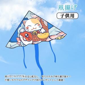 凧 デザインの商品一覧 通販 Yahoo ショッピング