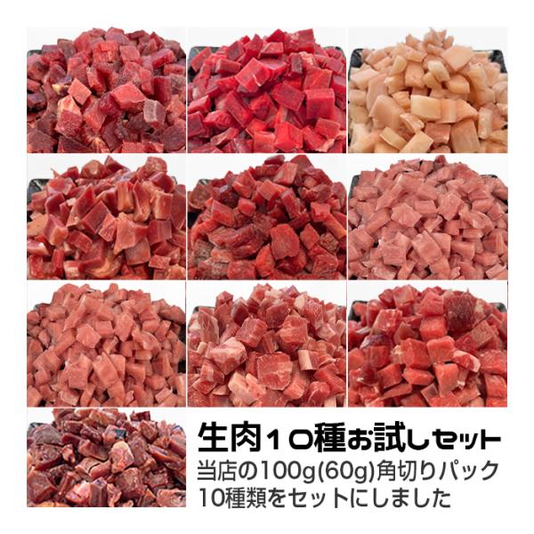 犬用・猫用 生肉10種お試しセット 中型犬向けパック 840g 各種生肉10種類 冷凍真空パック【ク...