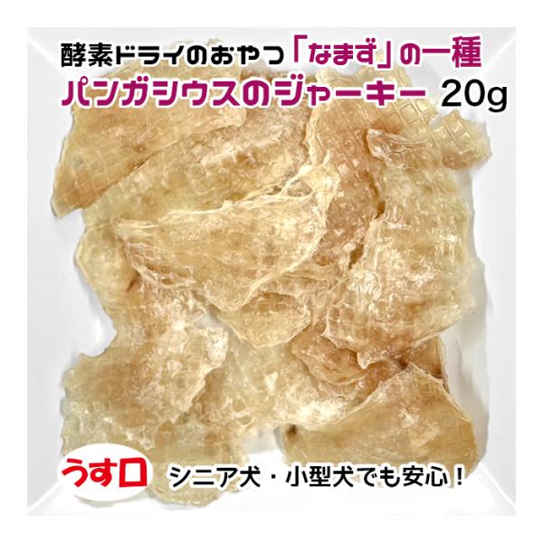 犬用・猫用 パンガシウスのジャーキー 20g 酵素ドライ うす口【ネコポス・宅急便コンパクト対応・ク...
