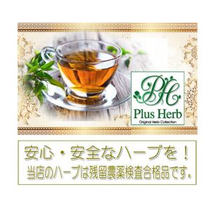 34.マサラチャイ ハーブティー 50g ハー...の詳細画像2