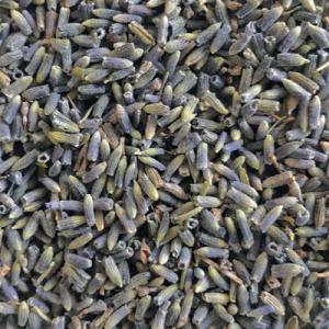 ラベンダー 10g ハーブティー ドライハーブ ラベンダーティー ノンカフェイン ハーブ茶 リラック...