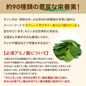 国産オーガニック モリンガパウダー 30g 有...の詳細画像2