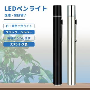 ペンライト 医療用 医療 瞳孔 黄色 黒 歯科 LED シルバー メディカルライト ナースペンライト ナースグッズ 看護師 看護 医師 暖色 おすすめ usb 充電式 明るい