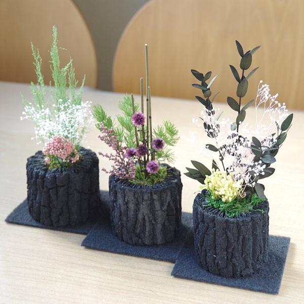 炭花壇 プリザーブドS「種類:b」 炭 木炭 浄化 消臭 除湿 調湿 インテリア 運気アップ おしゃ...