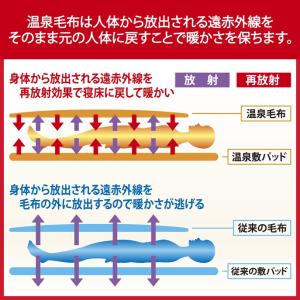 SALE!! 3,000円OFF メルシャン ...の詳細画像4