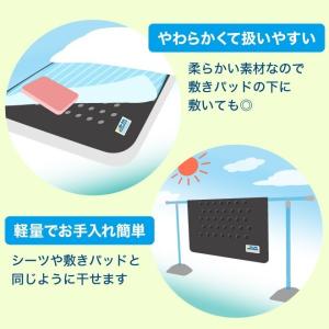 2枚セット 日本製 除湿 紀州 備長炭 繊維使...の詳細画像5