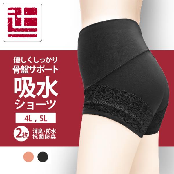 ポイント5倍 2枚組 レディース 吸水消臭ショーツ 骨盤周りサポート 女性 失禁ショーツ ソフトガー...