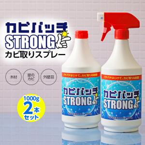 2本セット カビ取り スプレー カビパッチ 2000g  ベランダ 縁側 押し入れ 外壁 土壁 窓パッキン 浴槽 排水溝 キッチン トイレ カビ取り剤 カビ洗剤 辻一株式会社｜plus1-store