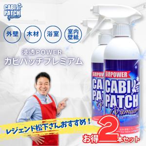 モルクリアプロ Mol clear Pro 超強力業務用カビ取りスプレー 480ml