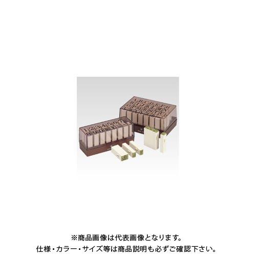 サンビー エンドレススタンプ 英字印 特大号 EN-EB