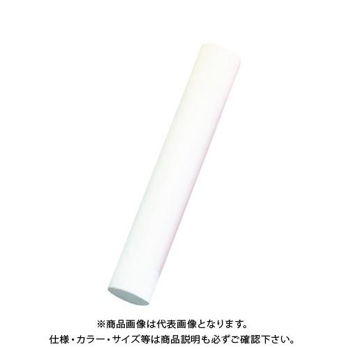 日本理化学 プロ チョーク 50本入 白 DCP-50-W