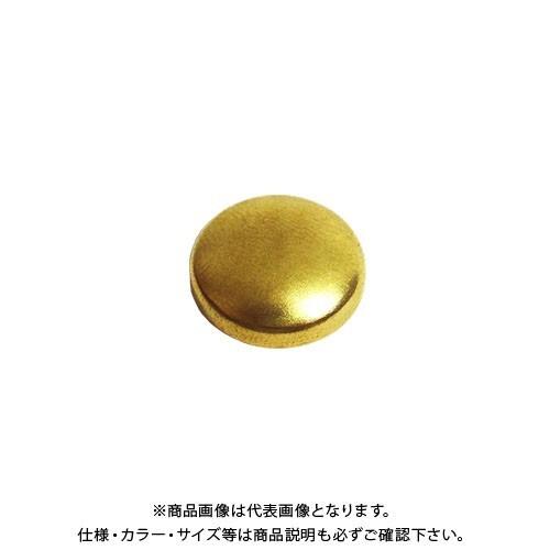 ダンドリビス いたずら防止キャップ 真鍮 16mmタイプ (10ヶ入) ブリスター C-MSXBCX...