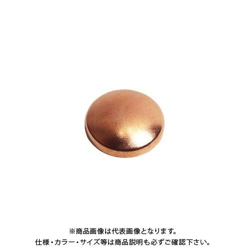 ダンドリビス いたずら防止キャップ 銅 16mmタイプ (50ヶ入) Abox C-MSXCCX-5...