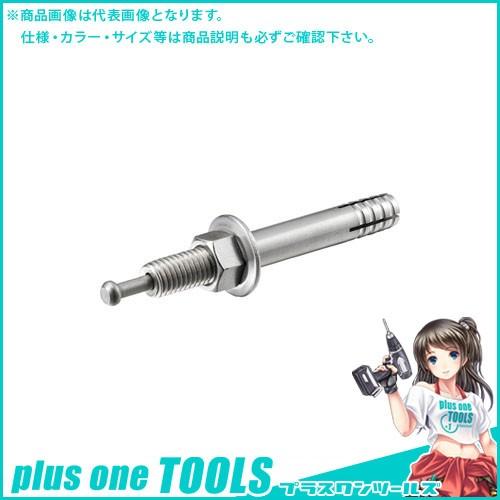 浅野金属工業 ボルトアンカー(オールアンカー) M10X80 AK15792-80