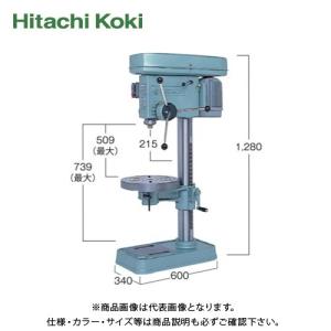 (運賃見積り)(直送品)HiKOKI(日立工機)タッピングボール盤 鉄工13mm 出力400W 6P 200V 丸テーブル BT13RL｜plus1tools