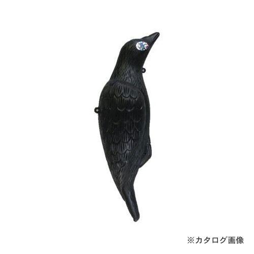 コンパル 大型カラス