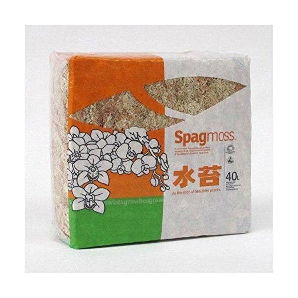 共福産業 ニュージーランド産 水苔 500g