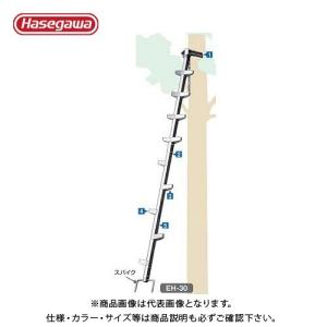 (送料別途)(直送品)ハセガワ 長谷川工業 EH用オプション 中はしご EHM 10110｜plus1tools