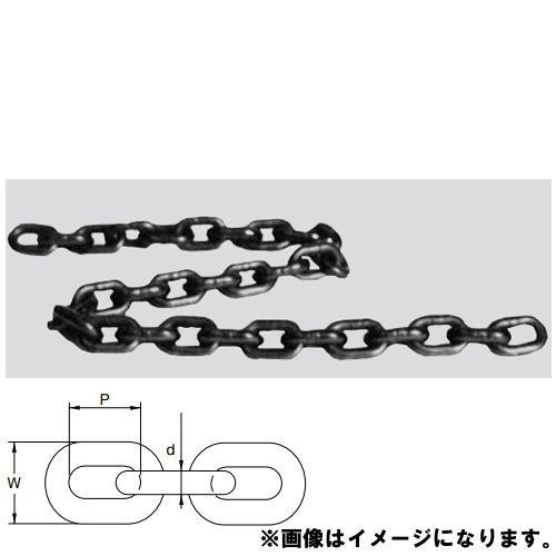 江東産業 KOTO 10ton用パワーチェーン 1.0m 10-10