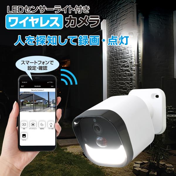 LEDセンサーライト付防犯カメラ SL 大進 DLA-RD300-SL