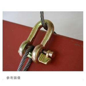 浅野金属 JISシャックル SC 26mm AK2140 : プラスワンツールズ - 通販