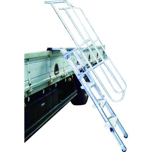 (送料別途)(直送品)ナカオ トラックライム REG-M