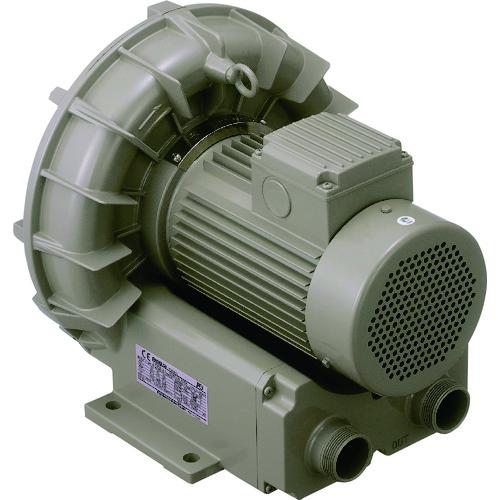 (送料別途)(直送品)TERAL(テラル) リングブロワVFZ-Aーe型 VFZ401A-E