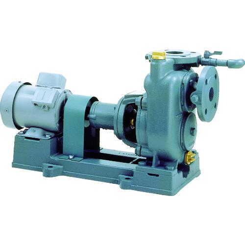 (送料別途)(直送品)TERAL(テラル) 自吸式渦巻きポンプ単相100 SPL3-32-1-100...