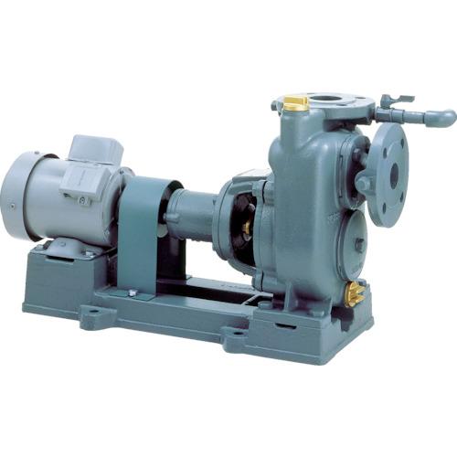 (送料別途)(直送品)TERAL(テラル) 自吸式渦巻きポンプ三相200 吐出量400L/min S...