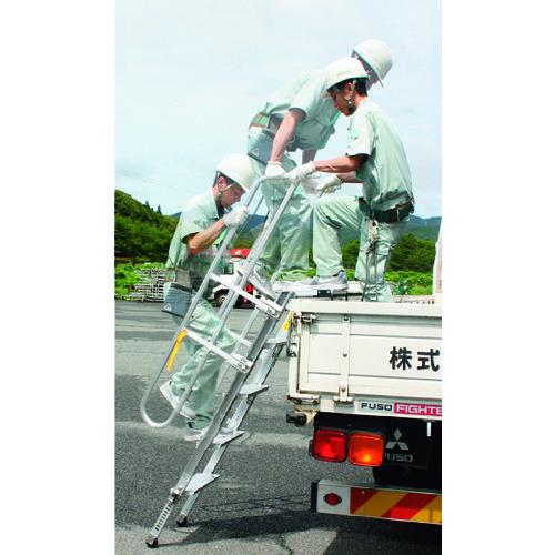 (送料別途)(直送品)ナカオ トラックライム REG-L