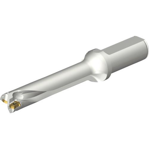 サンドビック コロドリルDS20刃先交換式ドリル(465) DS20-D2000L25-05