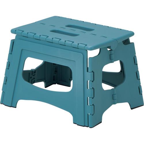 TENMA フォールディングステップ22 811000774