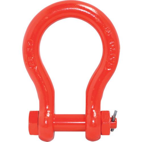 大洋 軽量シャックル (1059633) RB-5T