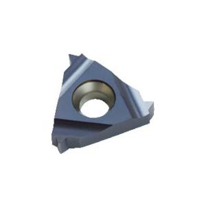 NOGA Carmexねじ切り用チップ 仕上げ刃なし 16×1.75-3.0 14-8山×55° 1...