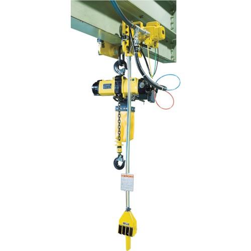 (送料別途)(直送品)ENDO エアーホイスト EHL-025TS MTH-1T-5 PCS-41付...