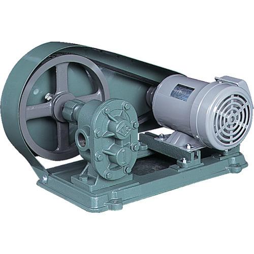 (送料別途)(直送品)NK ギヤーポンプ(電動機連結型) 口径10A KAS03