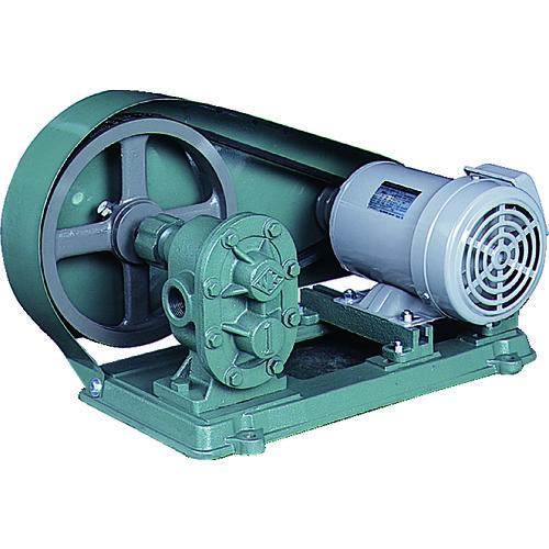 (送料別途)(直送品)NK ギヤーポンプ(電動機連結型) 口径25A KAS10