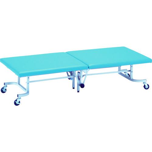 (送料別途)(直送品)ミズノ 移動用ベット ベンチ 青 MWC-1875DS:B