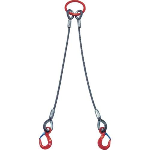 (送料別途)(直送品)大洋 2本吊 ワイヤスリング 5t用×2m(1011697) 2WRS 5TX...