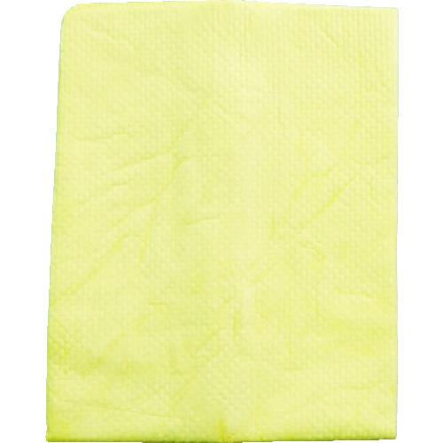 AION プラスセーヌ ボディ&amp;ガラス レギュラー2枚セット R307-TK