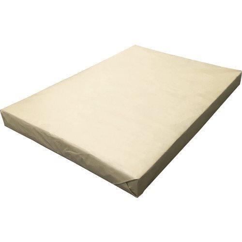 (送料別途)(直送品)積水 リサイクルペーパー 平版538X765 (500枚入) RP5376