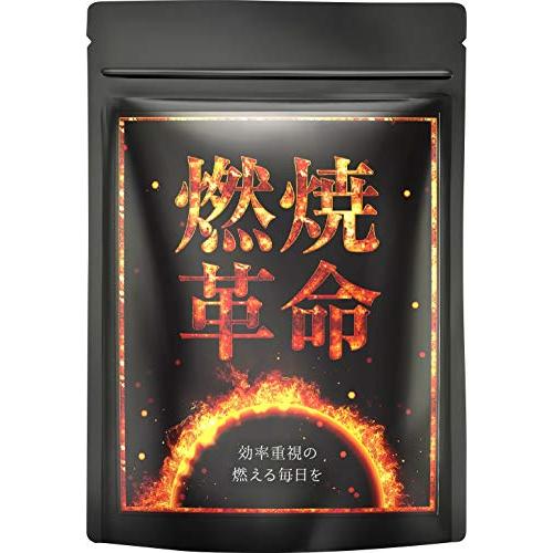 燃焼革命 カプサイシン ブラックジンジャー L-カルニチン 厳選11種 60粒 30日分(日本製)