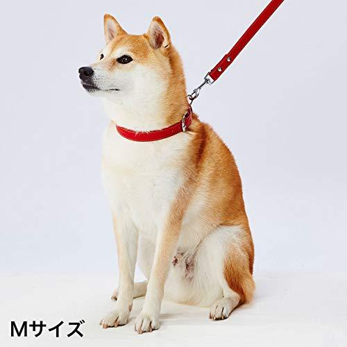 ペティオ (Petio) Porta ポルタ ソフトレザーカラー Mサイズ 21mmレッド