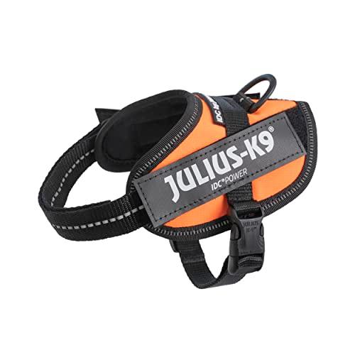 ユリウスケーナイン IDCパワーハーネス UＶオレンジ ベイビー2