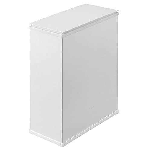 アイリスオーヤマ ゴミ箱 30L フタ付き 分別可 袋止め付き 並べて綺麗 スチールペール STPL...