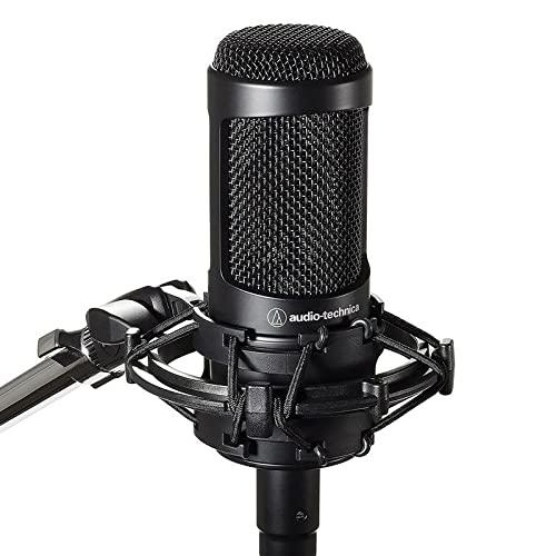 audio-technica バックエレクトレット・コンデンサー・マイクロホン AT2035 【新パ...